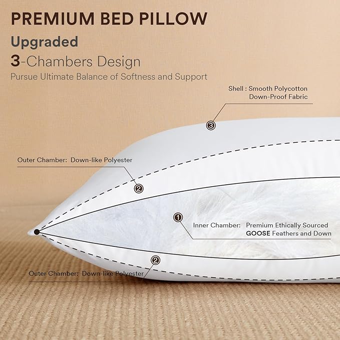 Goose Feather Down Pillows Queen Size Set of 2, Luxury Soft Feather Pillows for Sleeping, Smooth Down-Proof Fabric, Hotel Collection Bed Pillows Surround Fill Polyester (White, 20"x30")