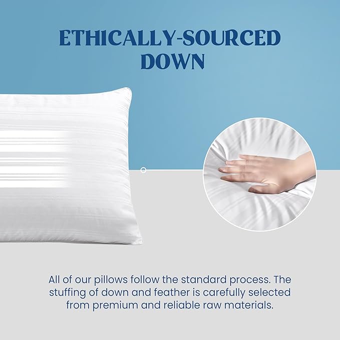 puredown Goose Feather Down Pillows, Bed Pillows for Sleeping with 2 Outer Protectors, Hotel King Pillows Set of 2 (Pack of 2)