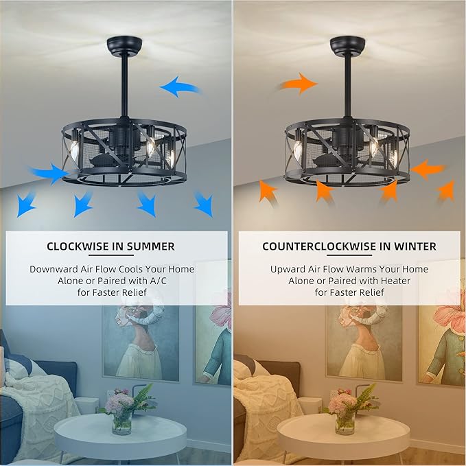 NicBex Ceiling Fan 20 Inch Modern Ceiling Fan with Lights Ceiling Fans with 5 Blades and Remote Control Reversible Small Caged Ceiling Fan for Bedroom, Living Room, Matte Black