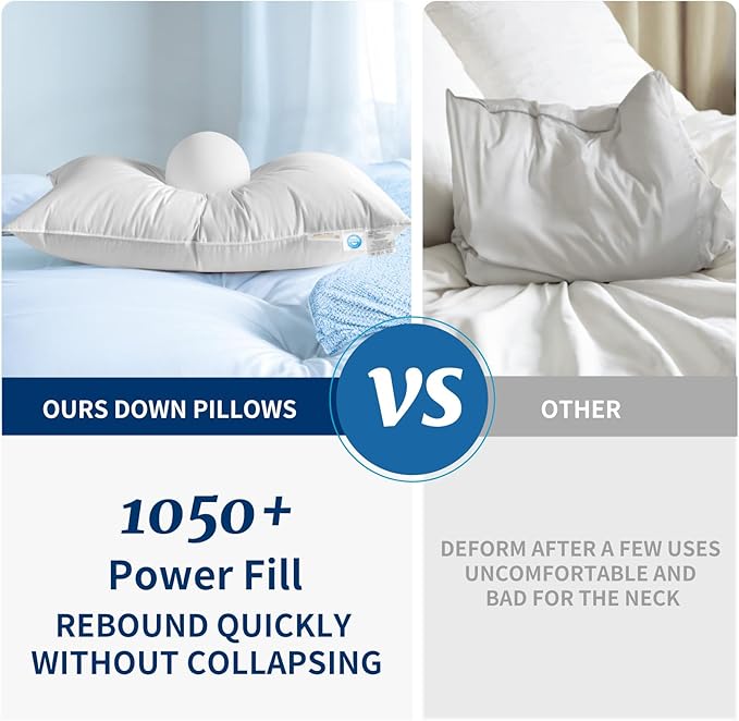 Canadian Luxury Goose Down Pillow King Size - 1050 Fill Power, 600 TC Cotton Shell- Ultra Soft and Comfort Sleep Pillows - Bed Pillows for Back, Stomach, Side Sleeper(White,King(Pack of 2))