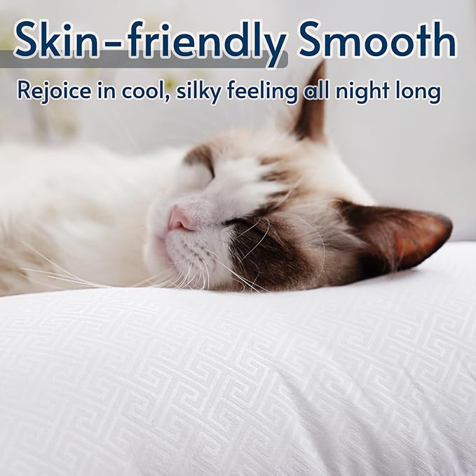 viewstar Pillows Queen Size Set of 2, Bed Pillows for Sleeping, Queen Pillows 2 Pack for Back and Side Sleepers, Fluffy Pillows for Bed with Down Alternative, Machine Washable, Dark Grey, 20" x 30"