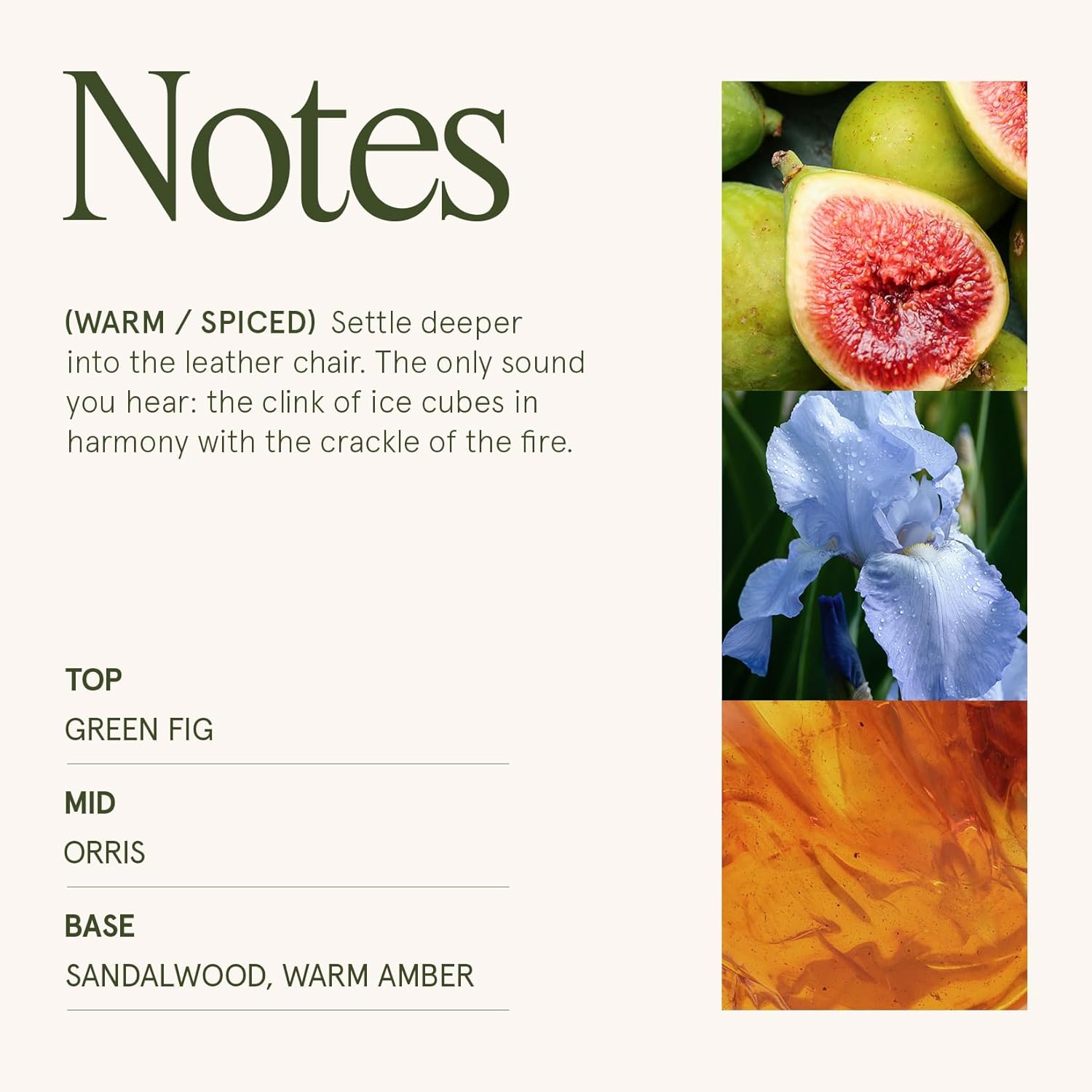 LA JOLIE MUSE Amber and Sandalwood Scented Candle | Santal Himalayen Candle | 6oz Luxury Soy Candle | Clean Burn & Long-Lasting | Gift-Ready for Hosts & Gatherings | Elegant Home Décor