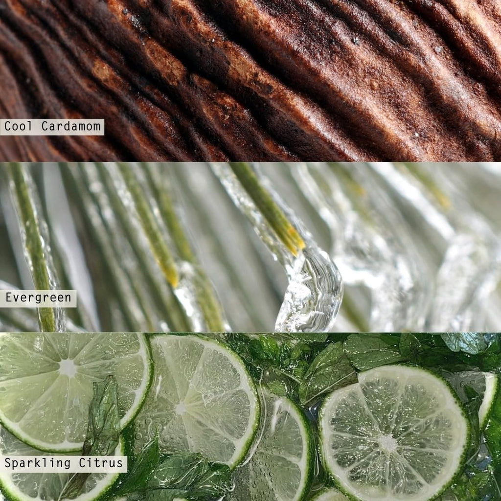 ILLUME Demi Vanity Tin Candle, Winter White