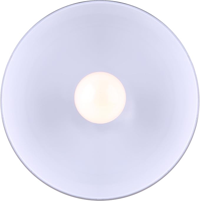 CANARM IPL222B01BN Polo 1 Light 9" Rod Pendant, Brushed Nickel with Painted White Interior, Silver