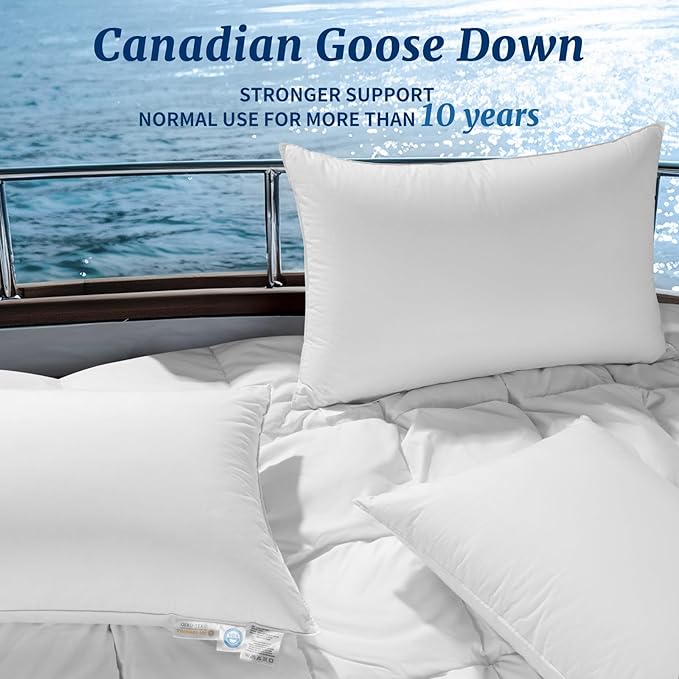 Canadian Luxury Goose Down Pillow King Size - 1050 Fill Power, 600 TC Cotton Shell- Ultra Soft and Comfort Sleep Pillows - Bed Pillows for Back, Stomach, Side Sleeper(White,King(Pack of 2))