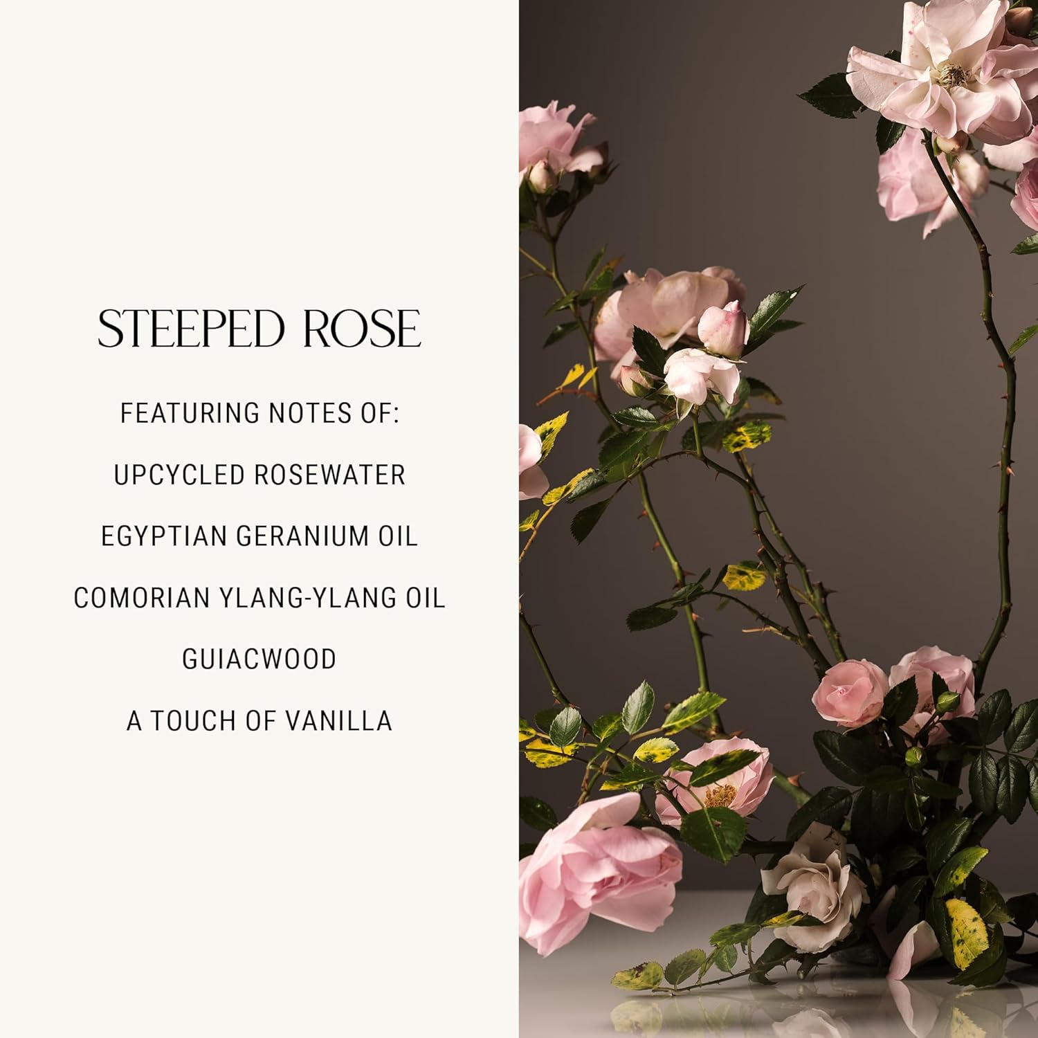 Homecourt Luxury Scented Candle, 60-Hour Burn Time, Soy Wax Blend & Organic Cotton Wick, Kiln-Fired Reusable Ceramic Vessel, Steeped Rose, 8 oz