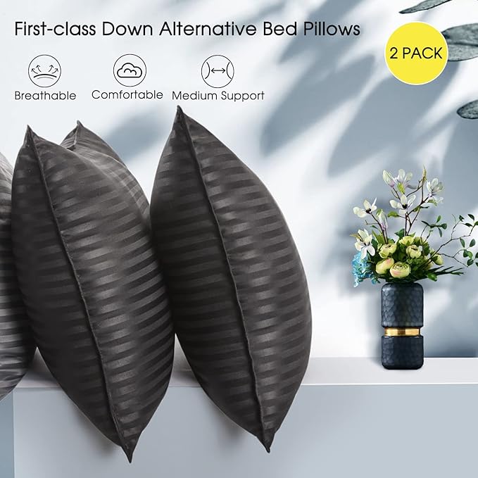 Basic Beyond Queen Size Pillows for Sleeping - Soft Down Alternative Pillows Luxury Hotel Collection Bed Pillows Queen Size Set of 2,Black,20x28 Inches