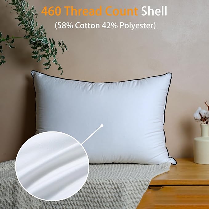 Natural Goose Down Pillows - White Down Pillow Queen Size - 550 Fill Power - Soft and Support Down Bed Pillow for Back,Side,Stomach Sleepers，1 Pack (20" x 28")