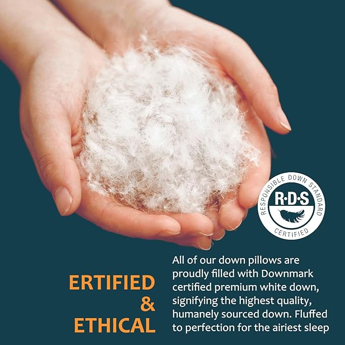 Hungarian Goose Down Pillow Queen Size Set of 2, Ultimate Comfort 750+ Fill Power, 480 Thread Count 100% Cotton Shell, Luxury Bed Pillows for Sleeping - Queen (20" x 28"), 2 Pack