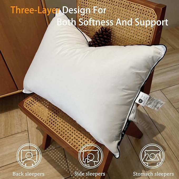 Natural White Goose Down Pillows- 550 Fill Power Down Pillow Queen Size - Soft and Support Down Bed Pillow for Back,Side,Stomach Sleepers，Queen (2 Pack ，20" x 28")