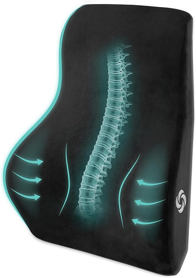 SAMSONITE, [Mid-Low] Back Support Lumbar Pillow for Office Chair or Car Seat, [HIGH GRADE - MEMORY FOAM], Boost your Back Comfort Zone, Versatile Use Supportive Cushion with Soft Plush Cover