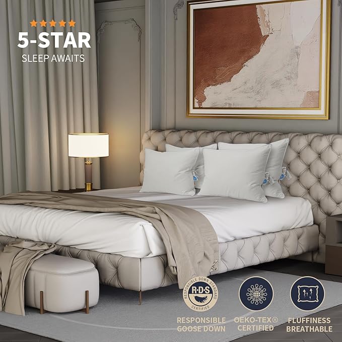 Natural Goose Down Pillows: Luxury Hotel Bed Pillow with 750 Fill Power, White Goose Down Sleeping Pillow with Pillowcase, Soft Pillow for Back, Side, Stomach Sleepers - 1 Pack, Queen (20" x 30")