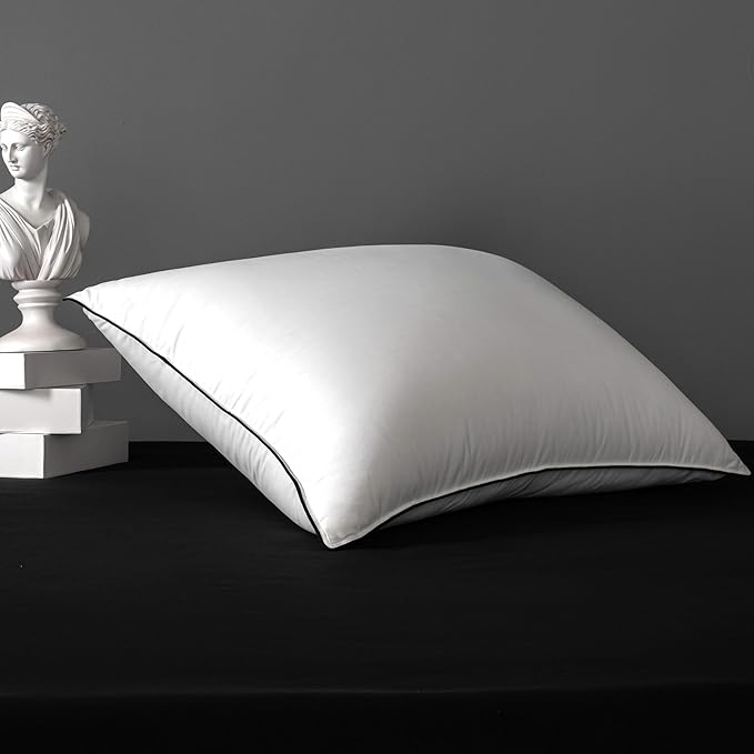 MAXICOZY Hungarian Goose Down Pillow Queen Size, 3-Chamber Bed Pillows Queen Size Pillow, White Hotel Pillows for Sleeping, 460TC Soft Cotton Blend Shell- Queen (20" x 28"), 1 Pack