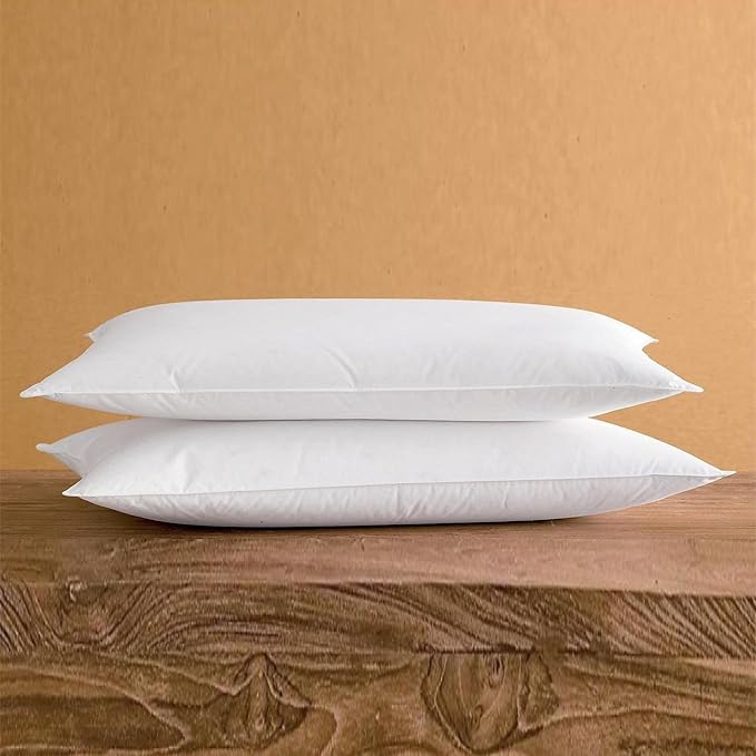 SILUI Ultra Thin Flat Soft Pillows Standard Size Set of 2 Pack Bed Pillow Down Alternative Fill for Side Back Stomach Sleepers, 20x26 Inches, White