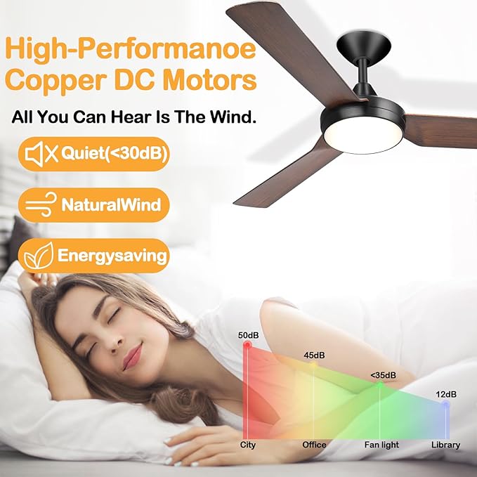 Ceiling fan with lights, 52 inches, color adjustable with remote control, no noise, reverse flow energy saving, modern design