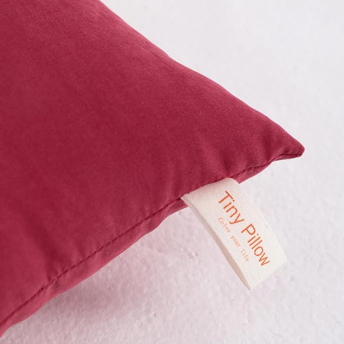 NTBAY Tiny Pillows, Down Alternative 7"x11" Microfiber Mini Pillows for Travel, Pets, Soft Machine Washable Small Pillows for Neck, Wrist, Lumbar and Knee, Red