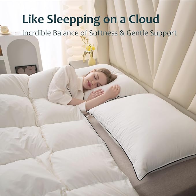 Hungarian Goose Down Pillow Standard Size Set of 2, Ultimate Comfort 750+ Fill Power, 480 Thread Count 100% Cotton Shell, Luxury Bed Pillows for Sleeping - Standard (20" x 26"), 2 Pack