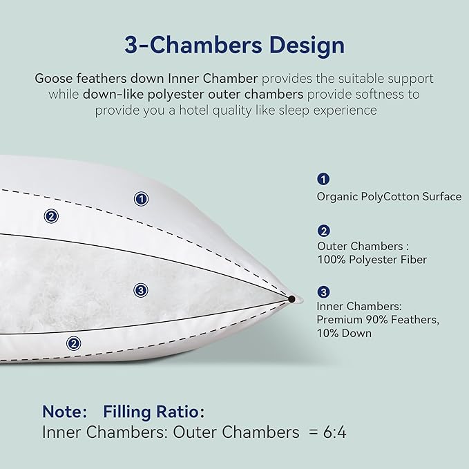 Goose Feather Down Pillows Queen Size Set of 2 - Luxury Soft Feather Down Pillow for Sleeping - Hotel Quality Bed Pillows - Wrapped in Polyester (Solid White, 20x30 Inches)