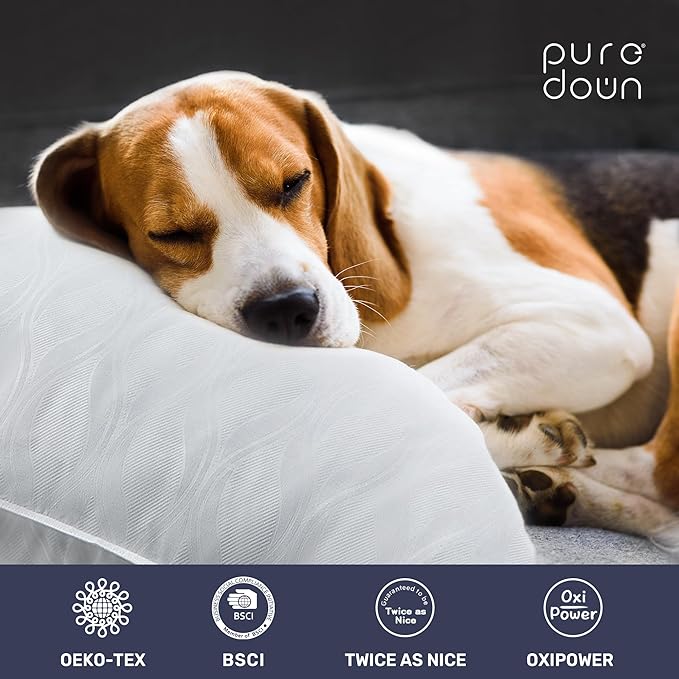 puredown Soft Bed Pillows for Sleeping, Goose Feather Down Pillows Hotel Collection Standard Size of 2, Netting Pattern Embossing Pillows for Back Stomach Side Sleepers (20 x 26, 2 Pack)