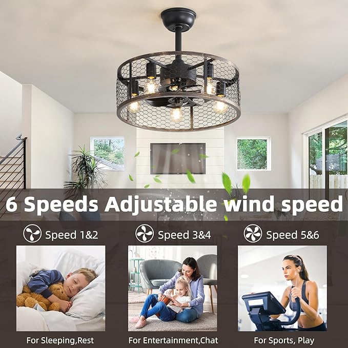 NicBex Ceiling Fan 20 Inch Ceiling Fans with Lights Caged Ceiling Fan with Blades and Remote Control Down Rod Mount Ceiling Fans for Bedroom, Living Room, Black Gray