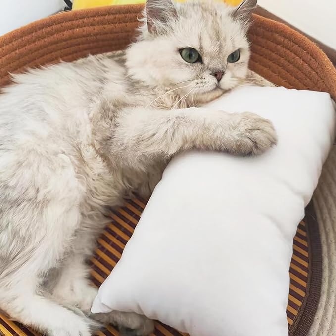 BEDSUM 2 Pack Tiny Pillows, 11"x7" Microfiber Mini Pillows for Toddler, Travel, Pets, Soft and Machine Washable Small Pillows for Neck, Wrist, and Knee Comfort, Sea Green