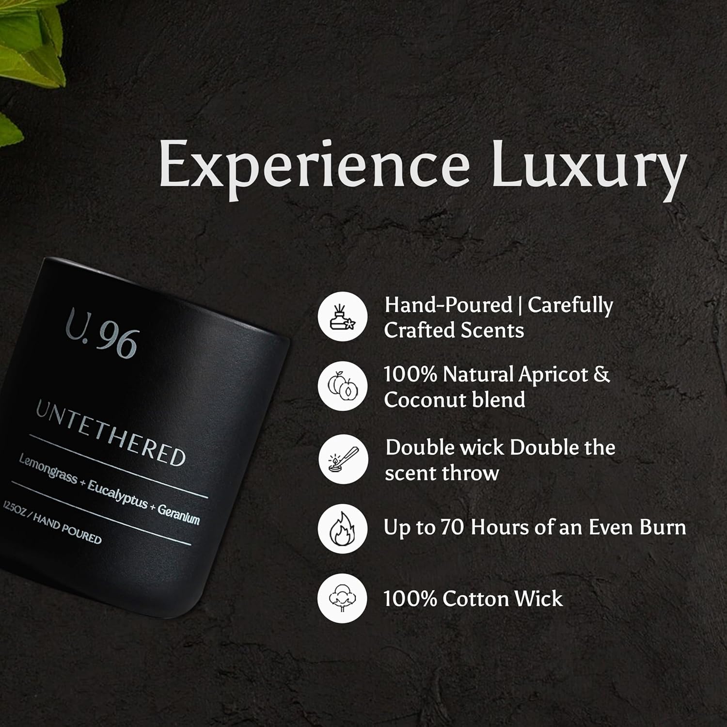 U.96 Luxury Scented Candle – Lemongrass, Eucalyptus & Amber | Hand-Poured in USA w/ 100% Natural Coconut & Apricot Wax | Double Wick, Long-Lasting Aromatherapy Candle for Home, Gift, & Rest (12.5 oz)
