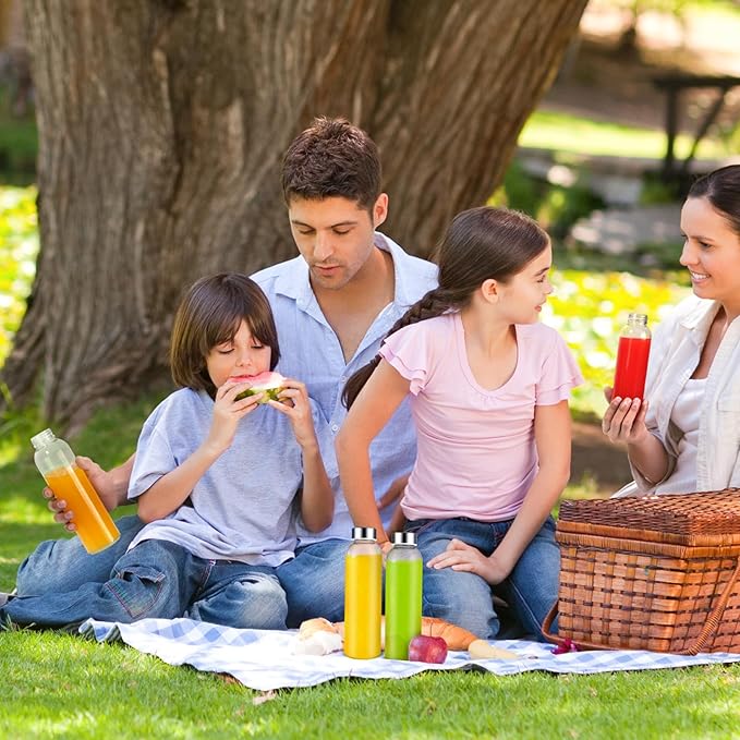 Glass Juice Bottles with Lids for Juicing 24 oz, Reusable Clear Glass Water Bottles with Stainless Steel Airtight Cap for Refrigerator, 100% Leak Proof, BPA Free, ECO Friendly, Set of 3