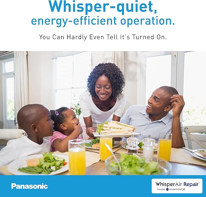 Panasonic FV-01VCN1 WhisperAir Repair, Filterless Air Purification Device with NanoeX Technology, Remove Odors, Allergens, Pollen, Dander, and Dust