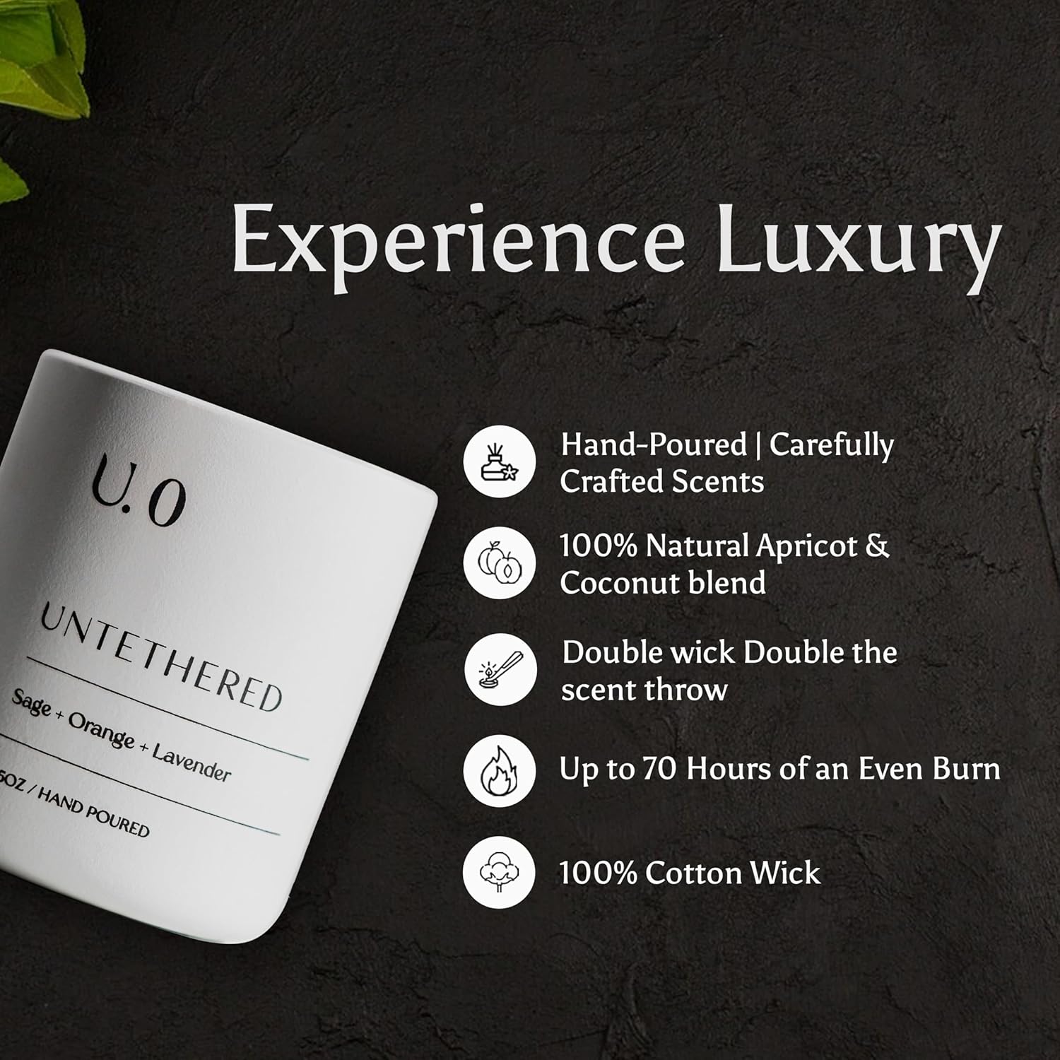 U.0 Luxury Scented Candle – Sage, Orange & Amber | Hand-Poured in USA with 100% Natural Coconut & Apricot Wax | Double Wick, Long-Lasting Aromatherapy Candle for Home, Gift & Relaxation (12.5 oz)