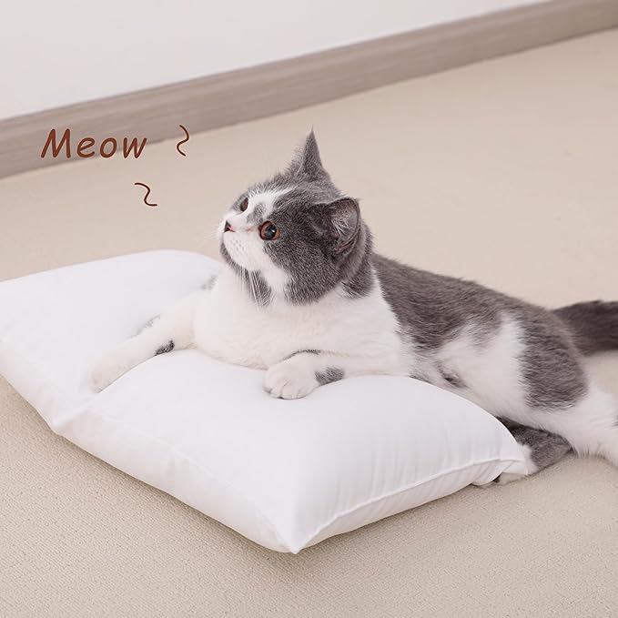 NTBAY Tiny Pillows, Down Alternative 7"x11" Microfiber Mini Pillows for Travel, Pets, Soft Machine Washable Small Pillows for Neck, Wrist, Lumbar and Knee, Light Grey