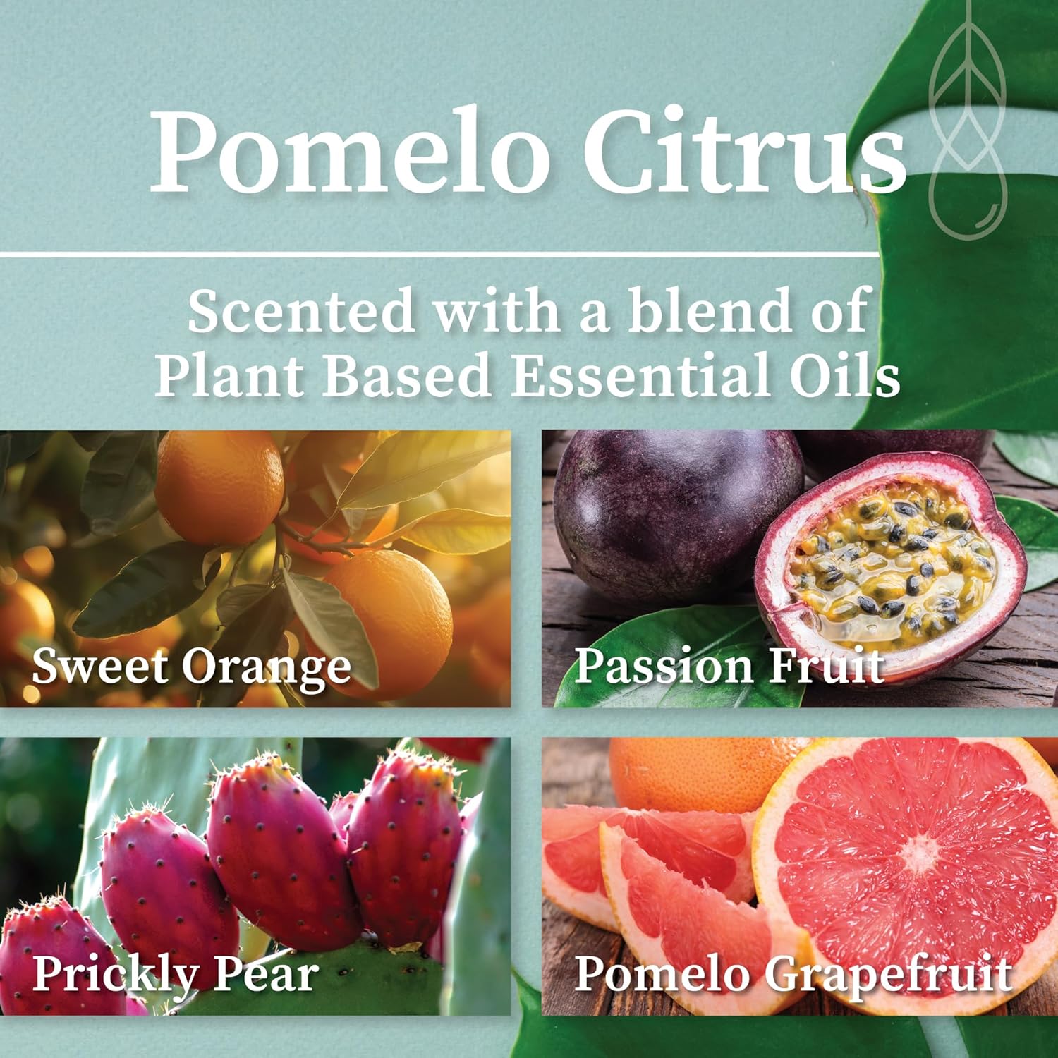 Hemlock Park Wood Wick Candle Handcrafted with Natural Coconut Wax and Essential Oils (Amber & Gold 7.2 oz, Pomelo Citrus)