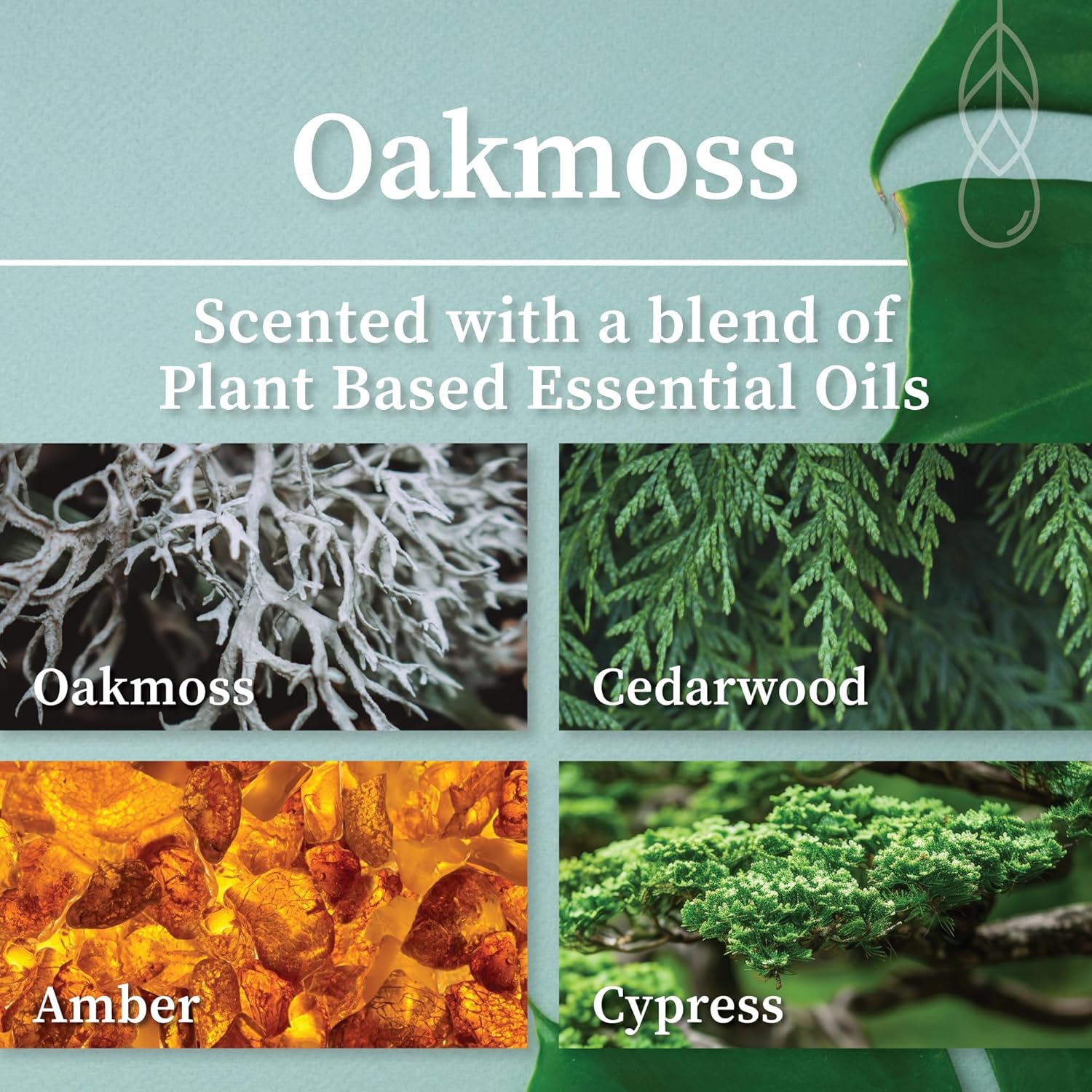 Hemlock Park Wood Wick Candle Handcrafted with Natural Coconut Wax and Essential Oils (Amber & Gold 7.2 oz, Oakmoss)