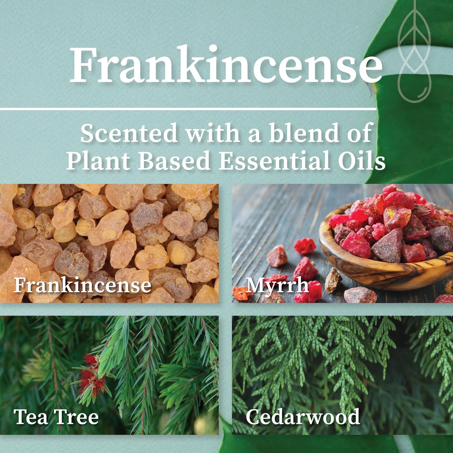 Hemlock Park Wood Wick Candle Handcrafted with Natural Coconut Wax and Essential Oils (Amber & Gold 7.2 oz, Frankincense)