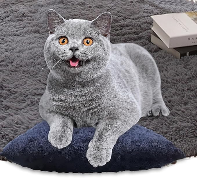 Small Pillow for Travel-Mini Travel Neck Pillows 11''*7''-Small Decorative Pillow-Tiny Pillows for Neck, Travel, Dogs, Cats