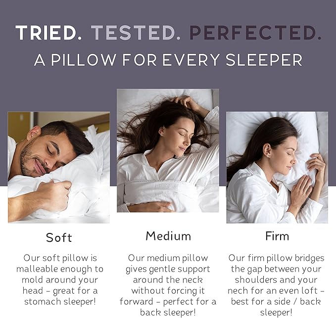 Lincove 100% European Down Venus Pillow – German Down 600 Fill Power, 400 Thread Count Shell, Made in Canada, | Luxe Collection, 24"x24"