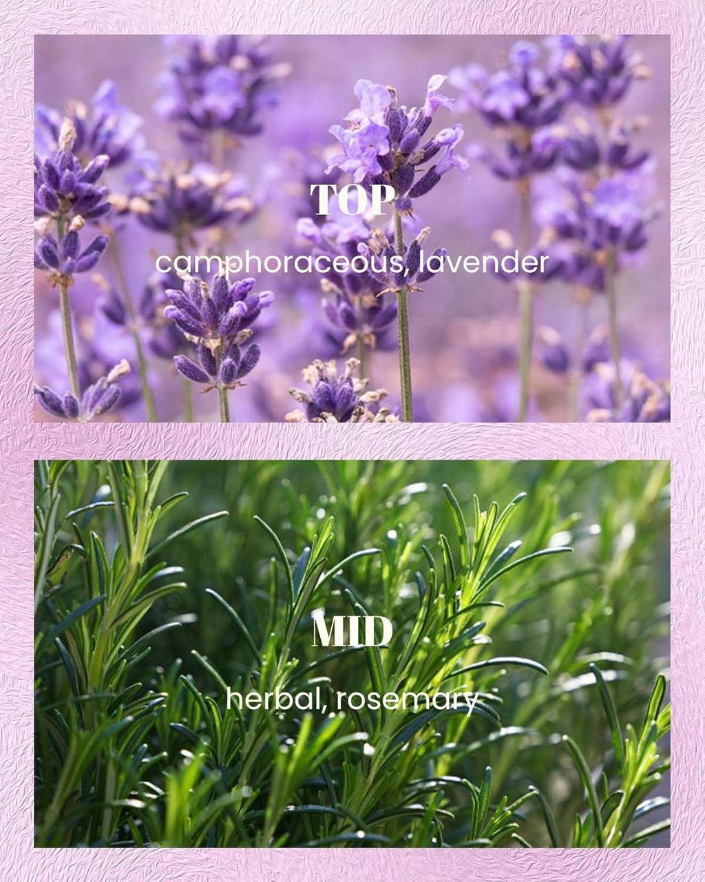 M&SENSE Lavender Rosemary Scented Candles, Vegan Soy Candles, Heavy Scented, 10oz 42-Hour Slow Burning Time, Toxic Free Winter Bathtub Aromatherapy Relaxing Spa, Fancy Gift for Home Decor